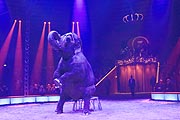 Die Elefanten-Lady Bara mit Jana Mandana  Lacey krone bei der Premiere am 25.12.2019 (©Foto: Martin Schmitz)